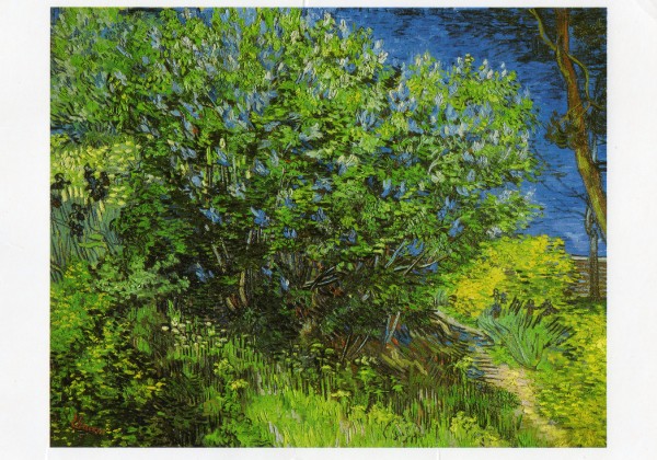 �������� �������� ��� ���. ���� ������
Postal card �Bush by Vincent van Gogh�