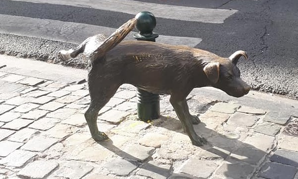 �������� �� � ��������