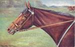 ������ �� ��������
Horse on postal card