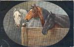 ������ �� ��������
Horse on postal card
