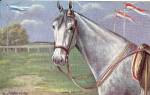 ������ �� ��������
Horse on postal card