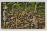 ��������
postal card