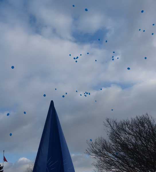 ��������� ������
Air balloons