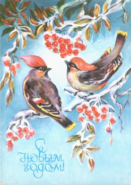 �������� ��. �������. � ����� �����!�
Postal card �With New year! by L. Kuliyeva�