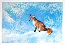 �. ������. ������
Fox by A. Isakov