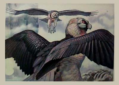 �������� ���������
Postal card ��