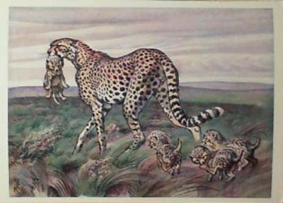 �������� �������
Postal card ��