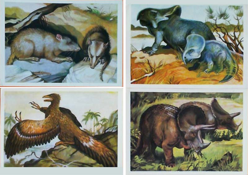 ����� �������� ��� ������� �����
Set of postal cards �From depth of centuries�