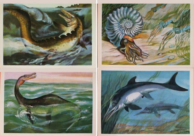 ����� �������� ��� ������� �����
Set of postal cards �From depth of centuries�