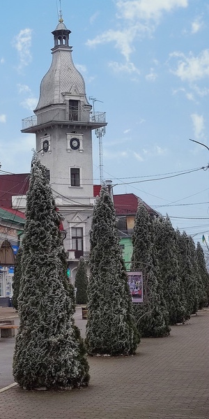 ����������. ������