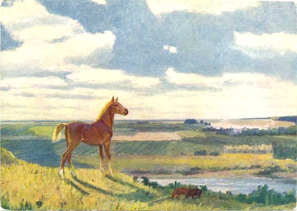 �.�.������. �� ���
On Oka by Theodore S. Shurpin