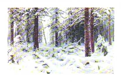 �.�.������. ����