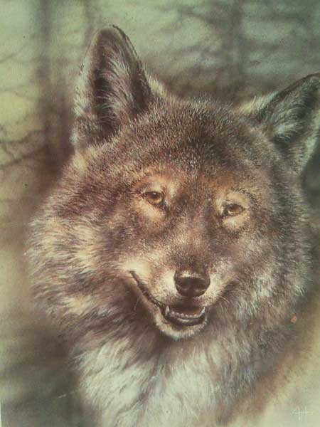 �������� ��. ������. ����
Postal card �Wolf by A.Y.Isakov�