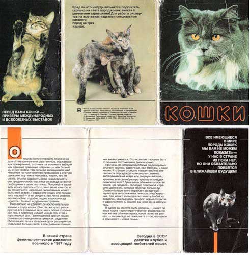 ����� �������� ������
Set of postal cards �Cats�