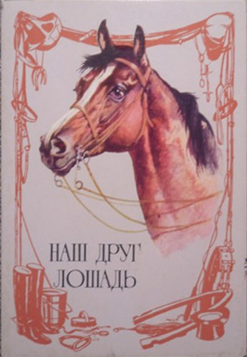 ����� �������� ���� ���� �������
Set of postal cards �Our friend the horse�