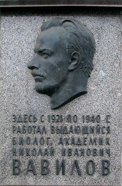 �.�.�������
Nicholas I. Vavilov