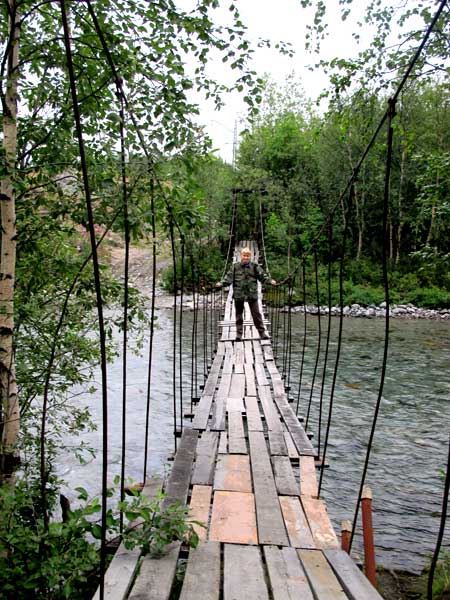 ����
Bridge