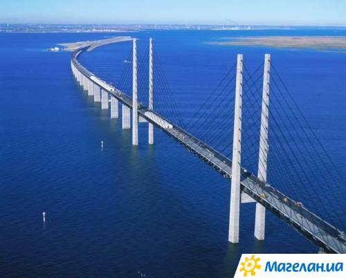 ����
bridge