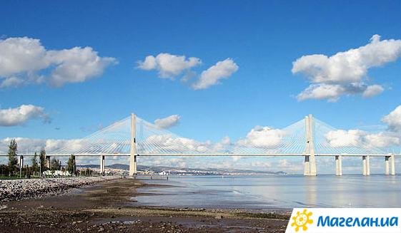 ����
bridge