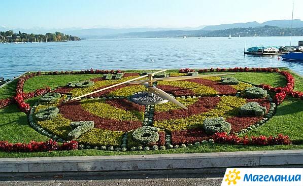 ���� ��������� � ������
Flower watch in Zurich