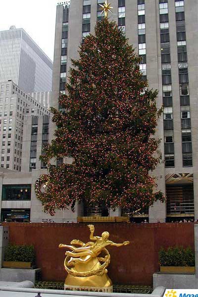 �������� � ���-�����
Monument in New York