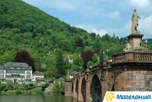 ����
bridge