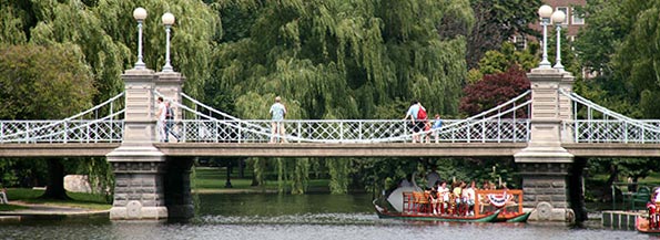 ����
bridge