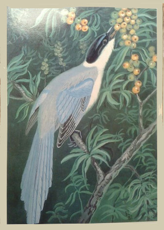 �������� ��. ������. ������� ������
Postal card �The light-blue magpie by V. Yegorov�
