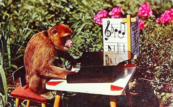 �������� ���������
Postal card �Monkey�