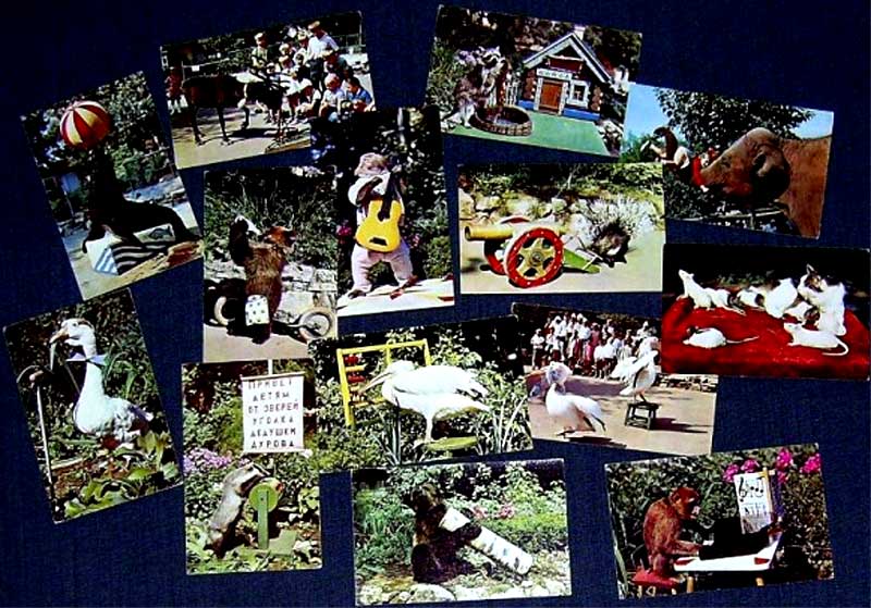 ����� �������� ������� ����� �.�.������
Set of postal cards �Corner named after V.L.Durov�