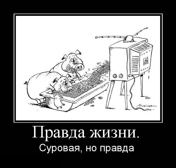 ������ �����. �������, �� ������
The truth of life. The severe, but true one