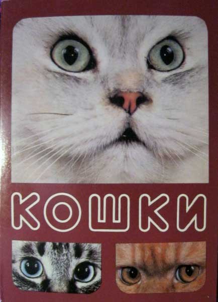 ����� �������� ������
Set of postal cards �Cats�
