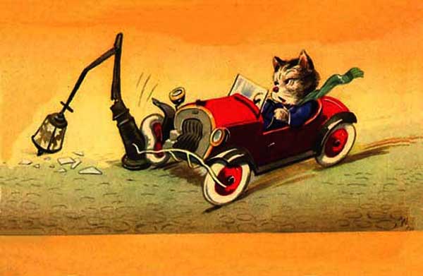 ��� �����
Cat the smart driver