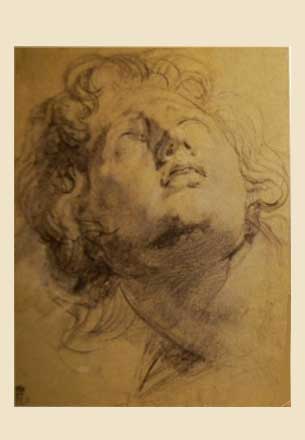 �������� ��.�.������. ������ �����
Postal card �Head of the young man by Peter Paul Rubens�