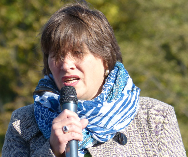 ������ � ������ ����������. ����������� ���� ������������
meeting in protection of Petersburg. The speech by Alla Podshivalova