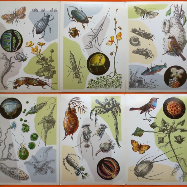 ����� �������� ��
Set of postal cards ��
