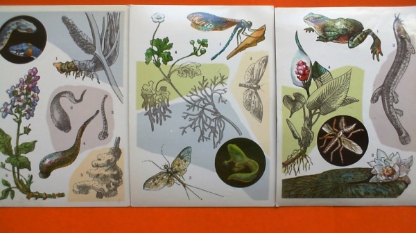 ����� �������� ��
Set of postal cards ��