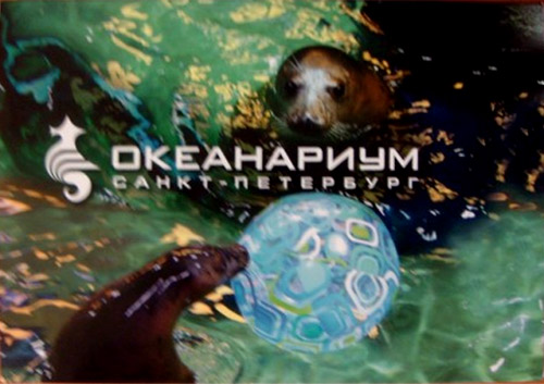����� �������� �����������. �����-���������
Set of postal cards �Oceanarium. St. Petersburg�