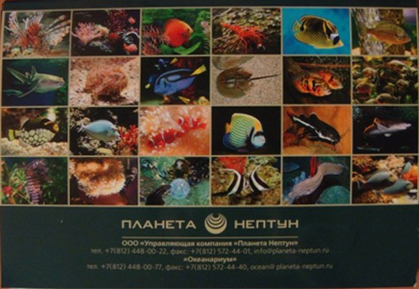 ����� �������� �����������. �����-���������
Set of postal cards �Oceanarium. St. Petersburg�