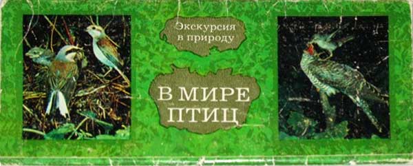 ����� �������� ���������� � �������. � ���� �����
Set of postal cards �Excursion in a nature. In the world of birds�