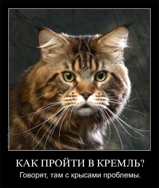 ��� ������ � ������?
How to pass in Kremlin?