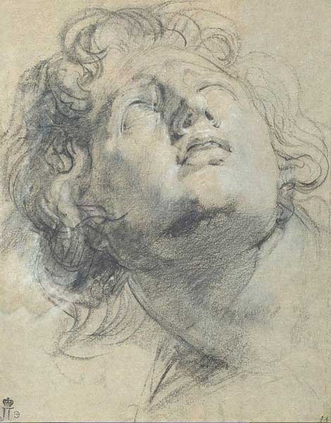 �������� ��.�.������. ������ �����
Postal card �Head of the young man by Peter Paul Rubens�