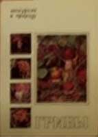 ����� �������� ���������� � �������. ������
Set of postal cards �Excursion in a nature. Mushrooms�
