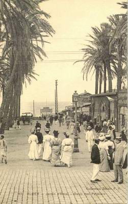 �������� ������. �
Postal card �Algiers. �