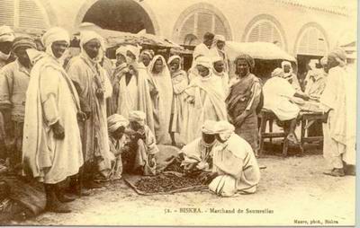 �������� ������. �
Postal card �Algiers. �