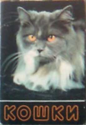 ����� �������� ������
Set of postal cards �Cats�