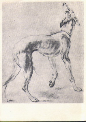 �. ��������. ������
Borzoi by Frans Snyders