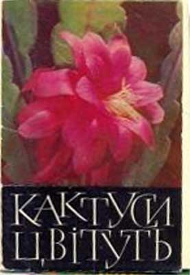 ����� �������� �������� ������
Set of postal cards �Cactusti flower�