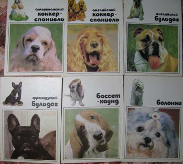 ����� �������� ����� ������ �������
Set of postal cards �Our trusty friends�