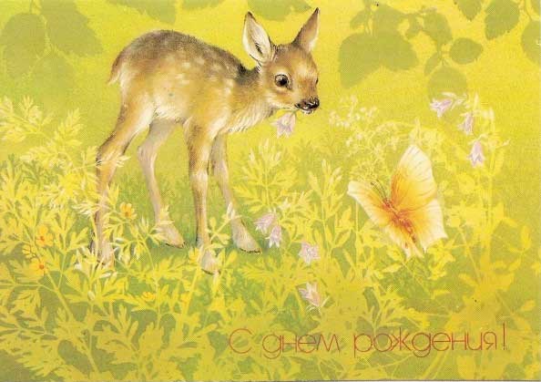 �������� �� ���� ��������!�
Postal card �With birthday!�